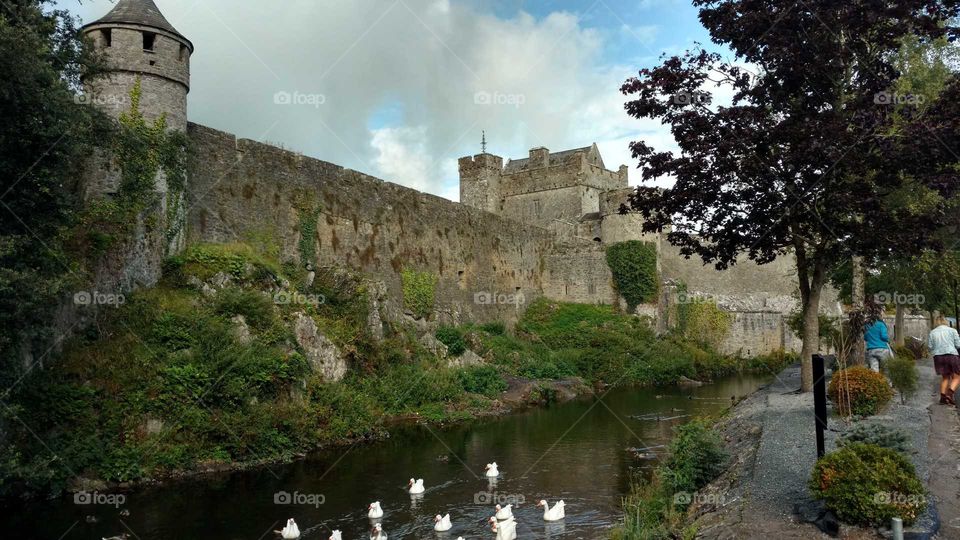 Castle and ducks