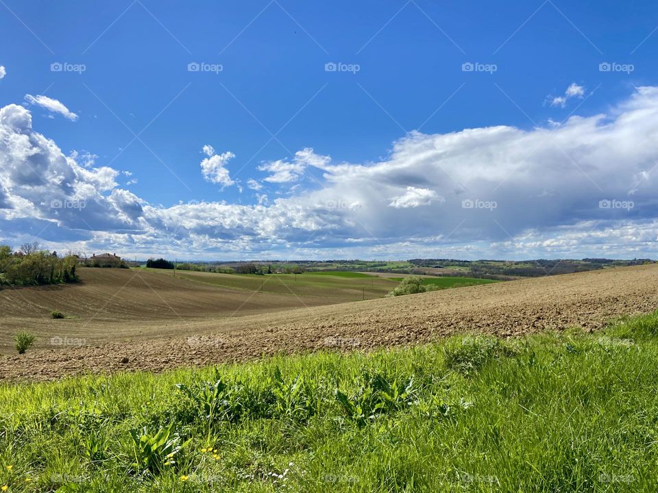 Fields in the spring 