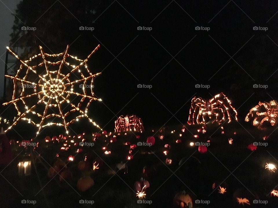 The Great Jack O’Lantern Blaze