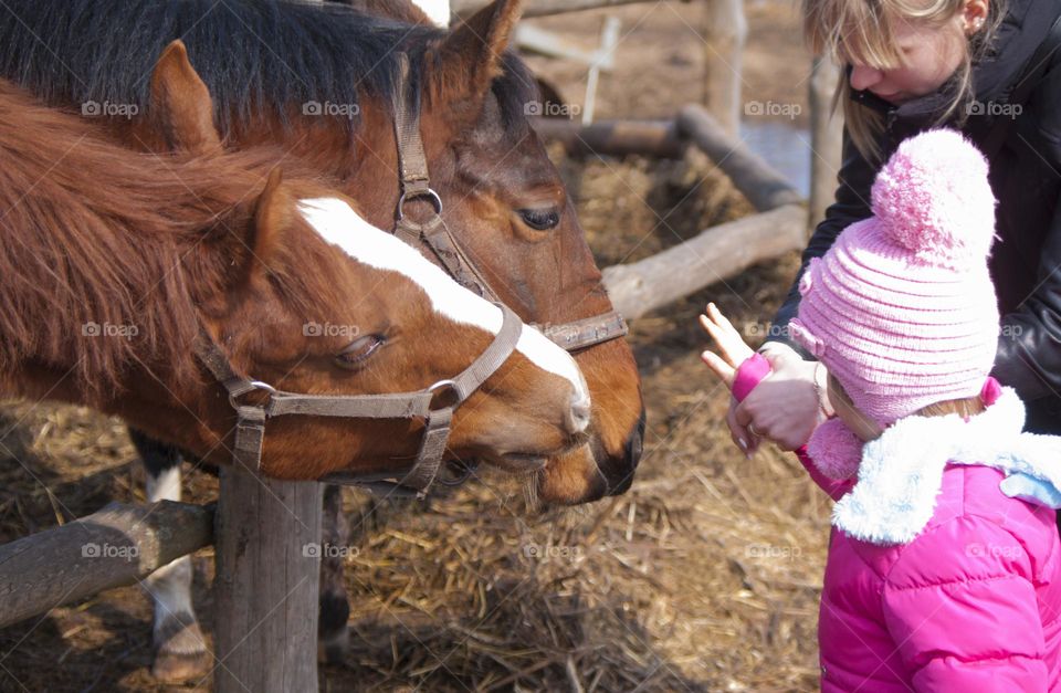 man feeding a horse