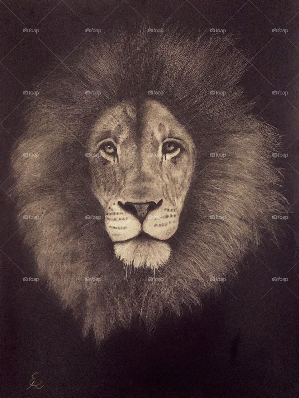 Lion (almost done)
