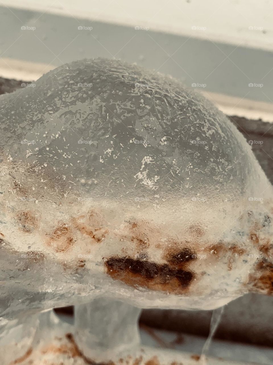 Ice Bubble 