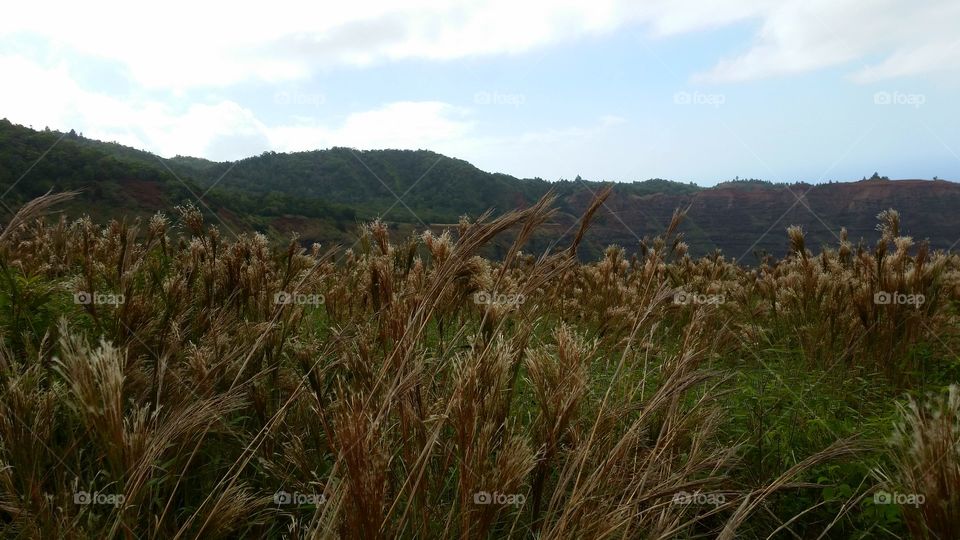 Napali coast hiking