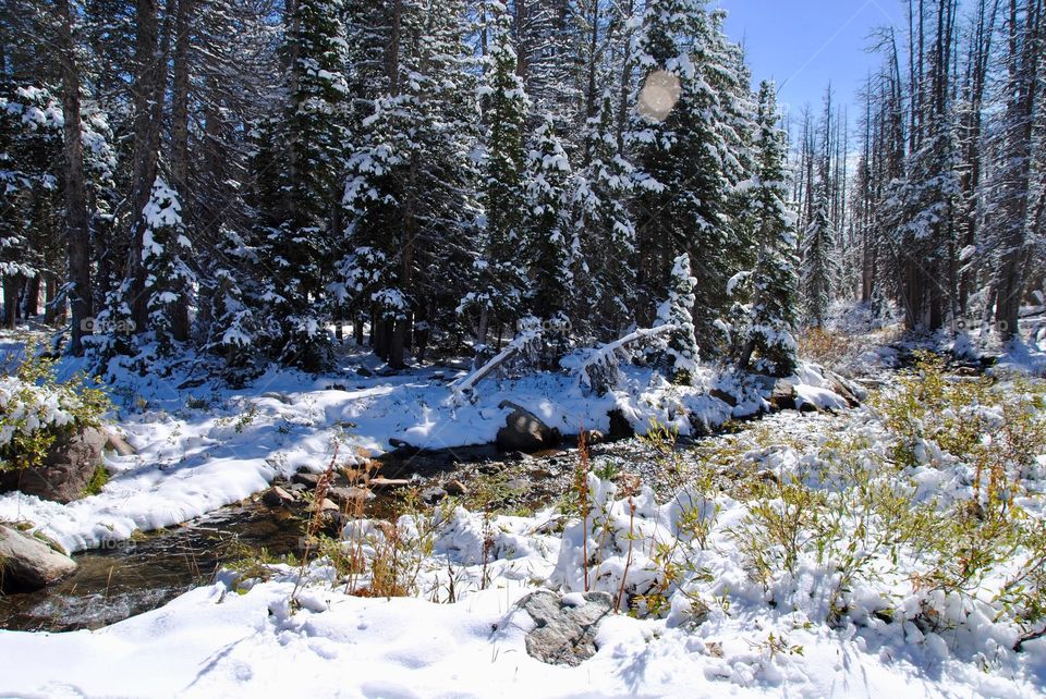 Early Signs Of Snow Melt in the Snowy Mountain Range