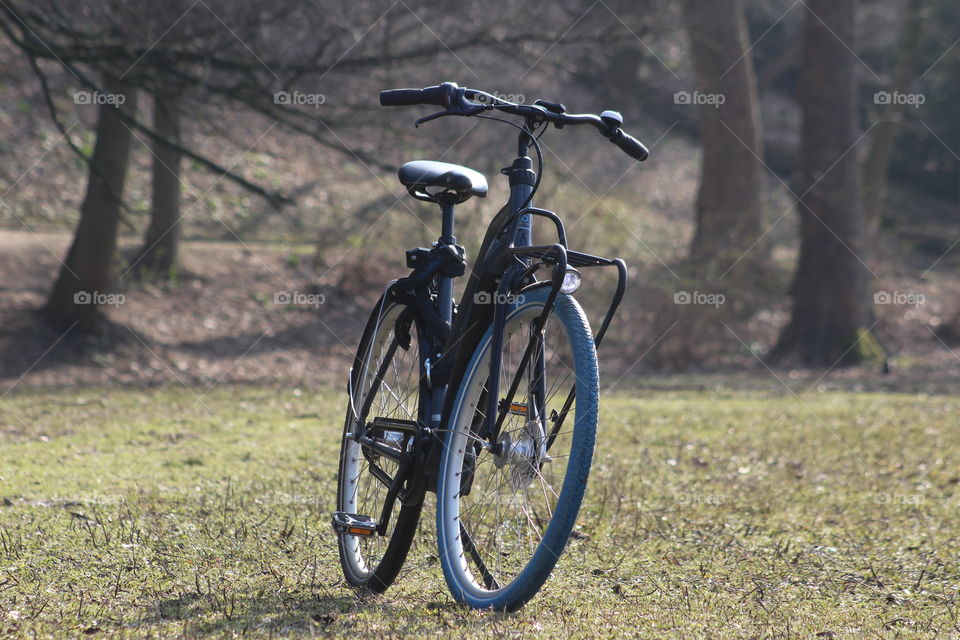 Cycling in nature