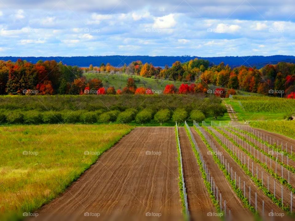 Traverse City Michigan Winery at the peak season of fall