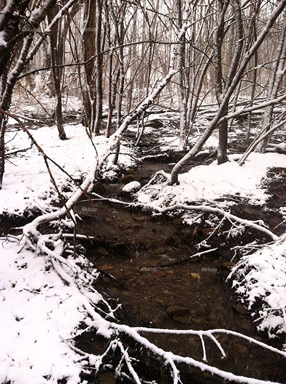 April snow