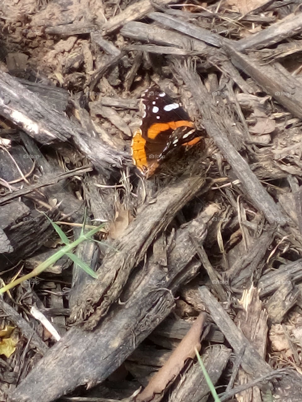 today is all that is promised so let's make each day count. stop and breathe and take it in.