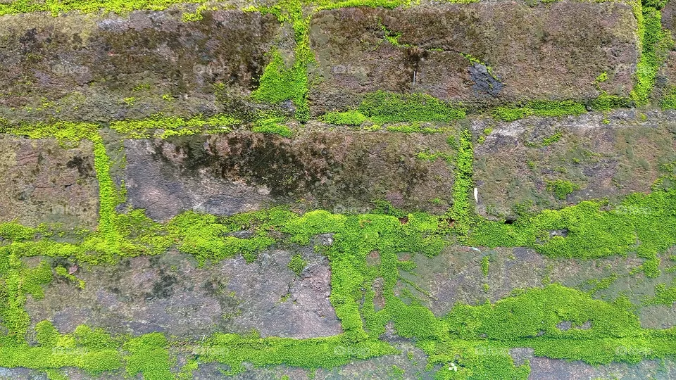 old wall