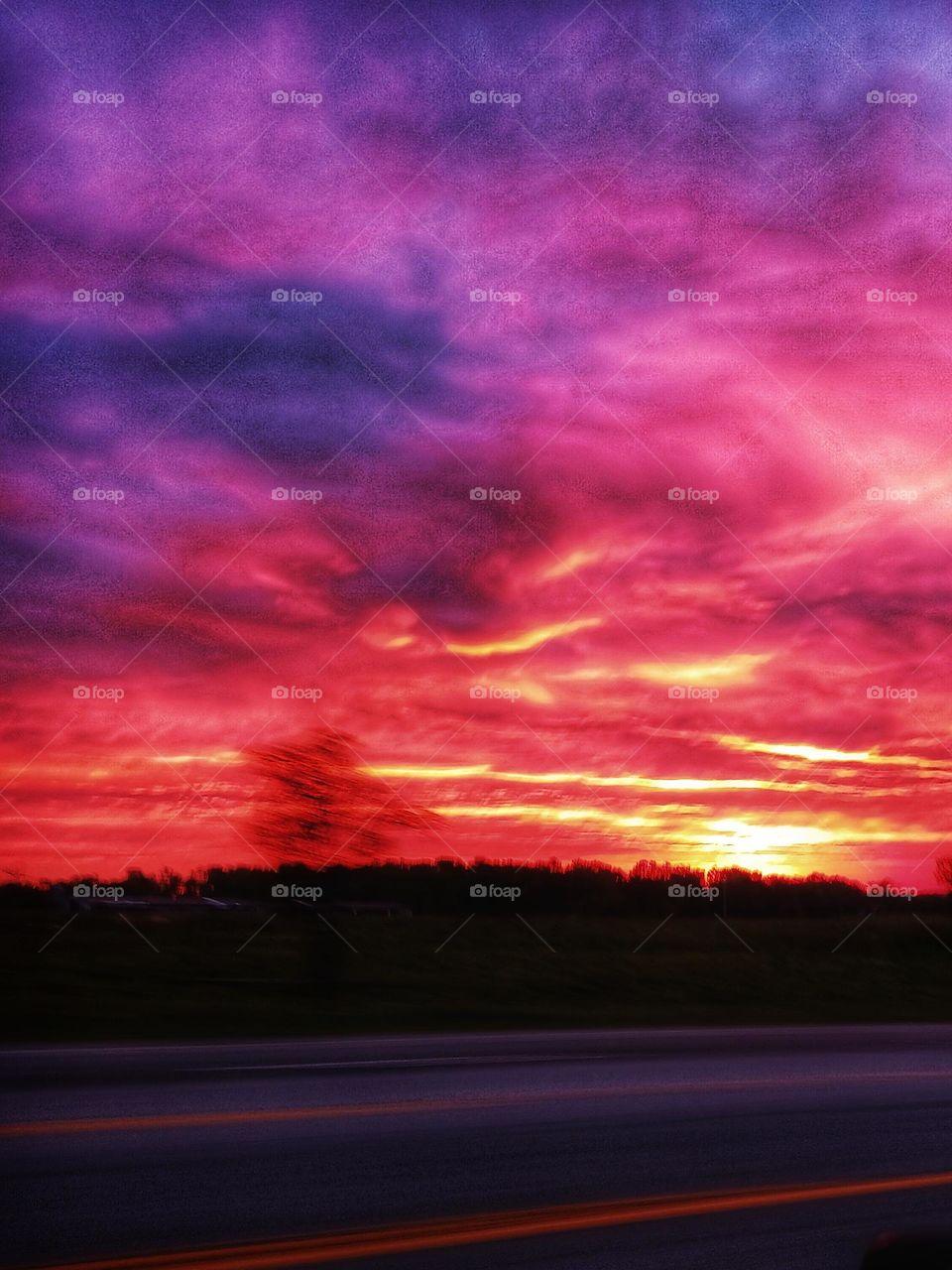 "Something  in the Orange"