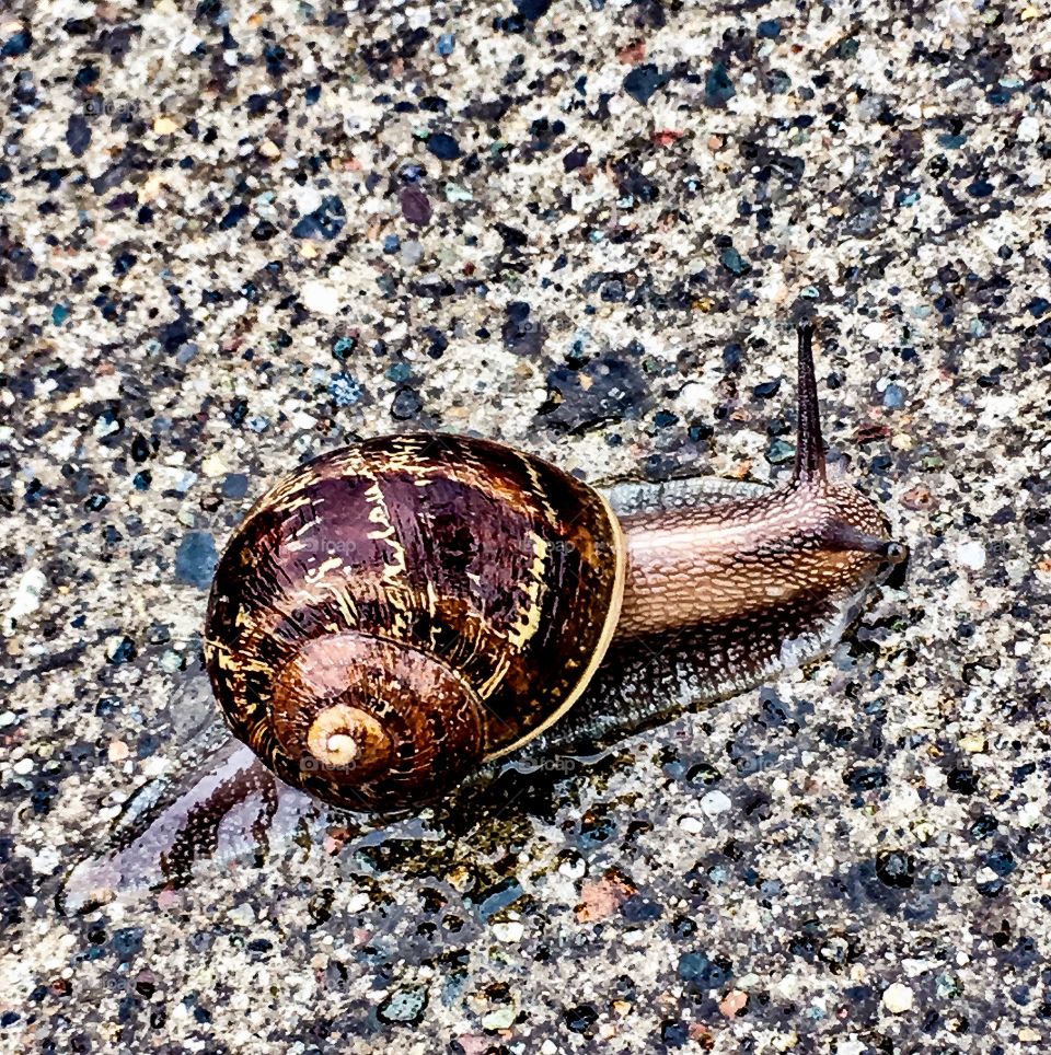 How Friday Afternoons Feel