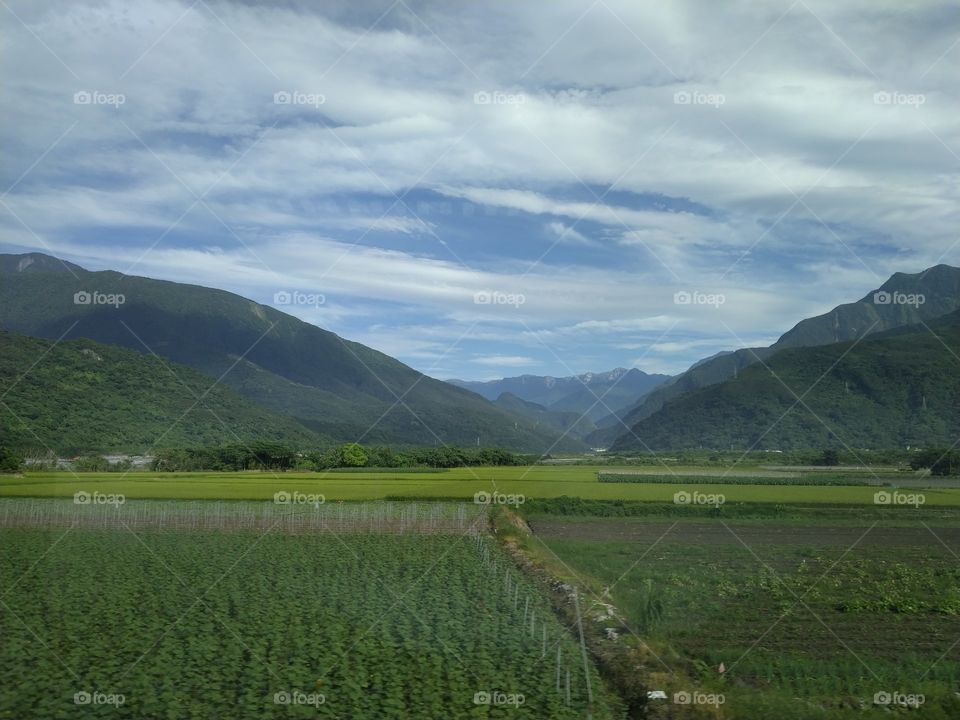 farm in a mountain side