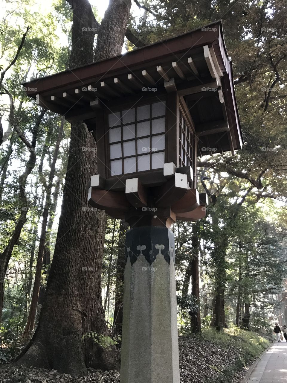 Japan temple, Meiji Shrine, located in Shibuya, Tokyo, is the Shinto shrine that is dedicated to the deified spirits of Emperor Meiji and his wife, Empress Shōken. Lamp post 
