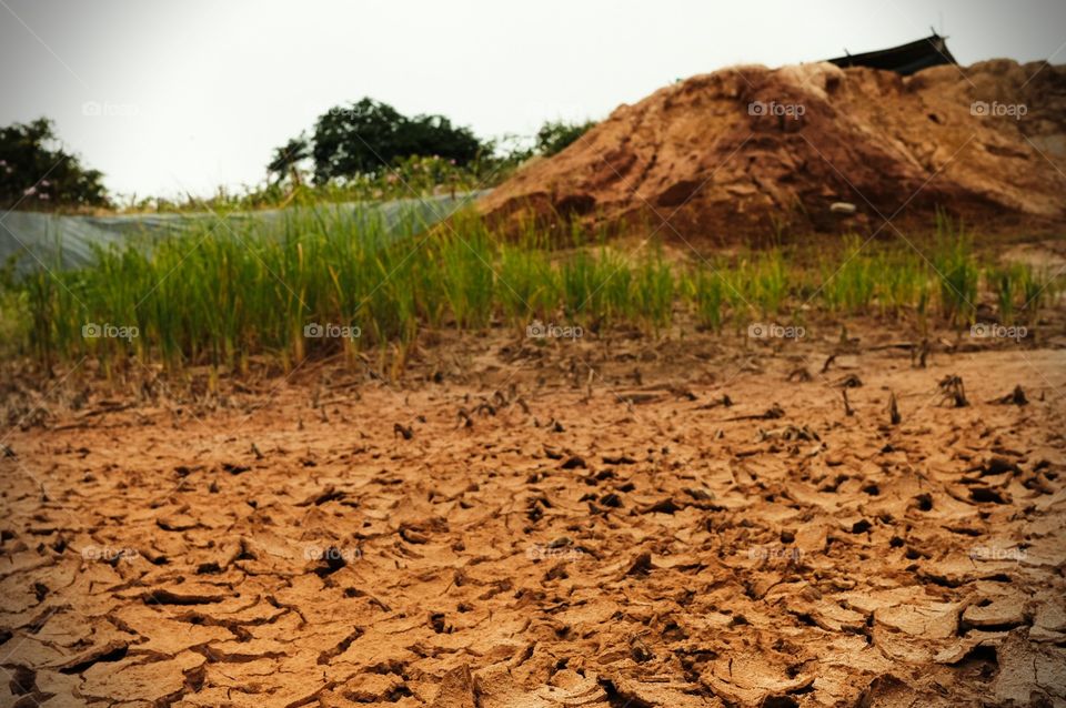 dry land, lack of water