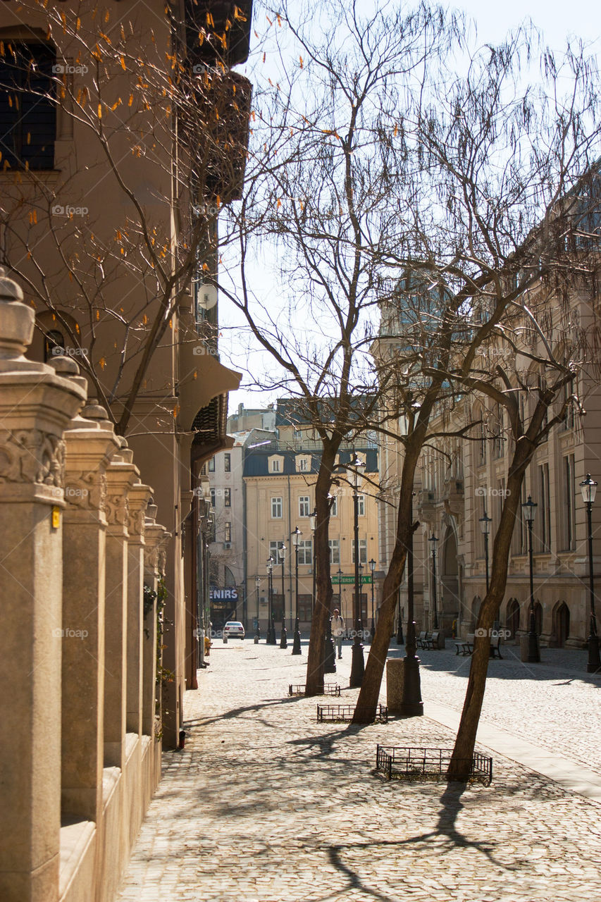 Street of Bucharest