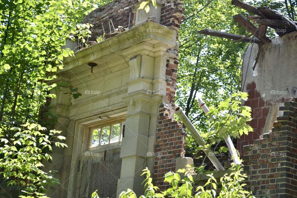 An elegant ornate old door standing in front of a crumbled  building with overgrown vegetation surrounding it