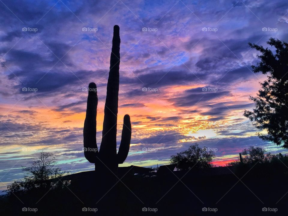 Arizona sunsets.