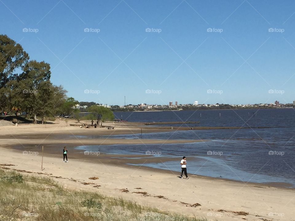 Water, Landscape, Beach, Seashore, Sea