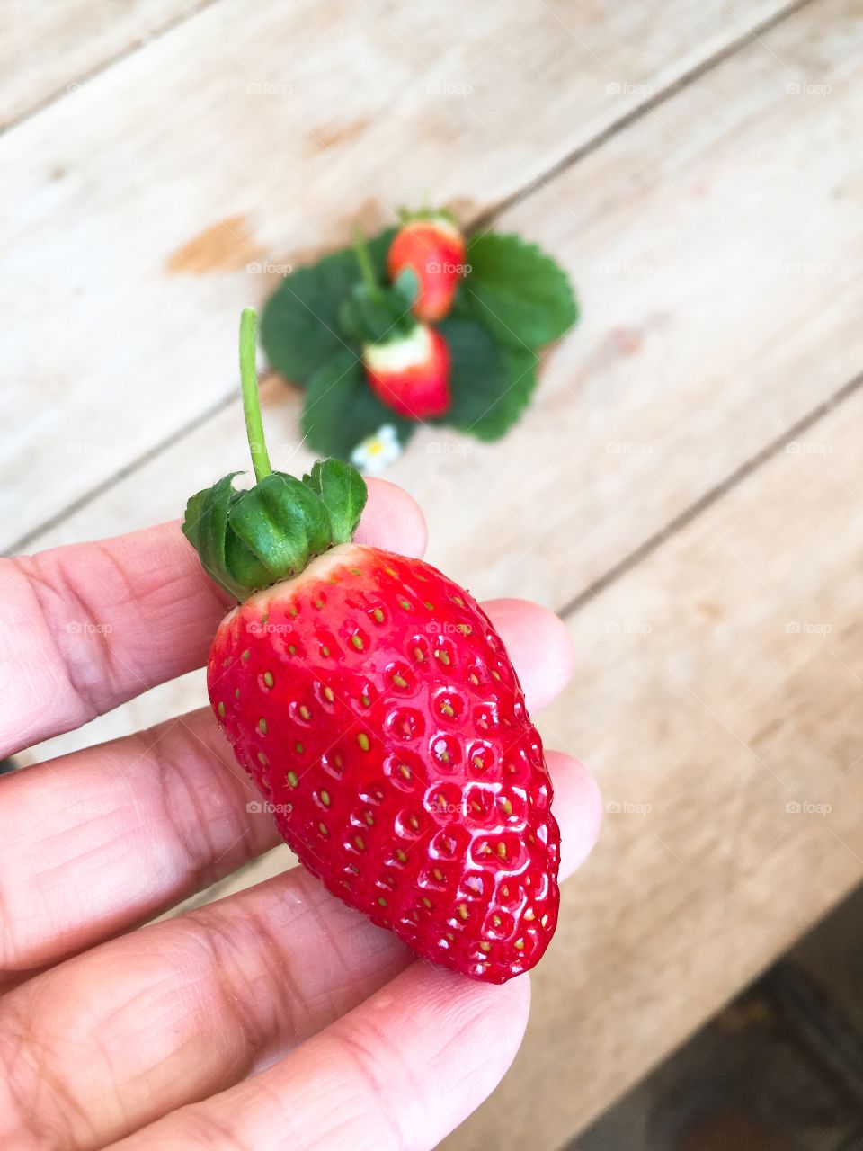 Strawberry 