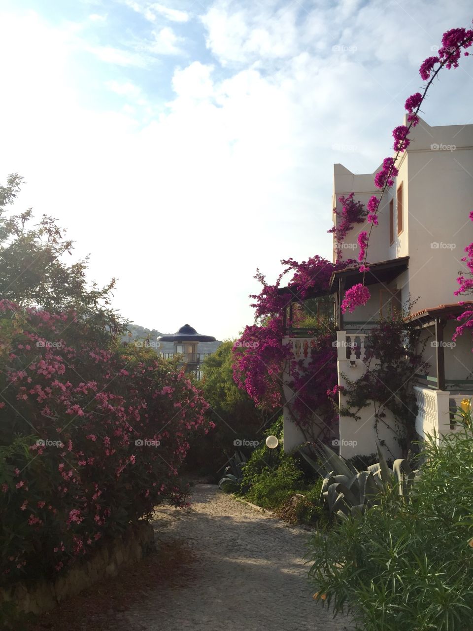 Landscape of a hotel in Mediterranean style