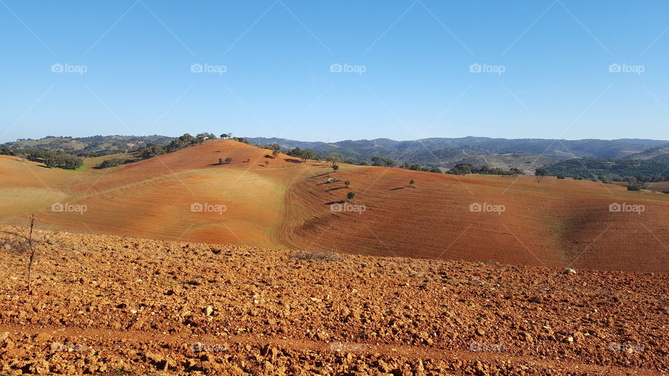 in the middle of nowhere