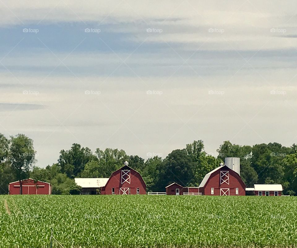 Farm Buildings