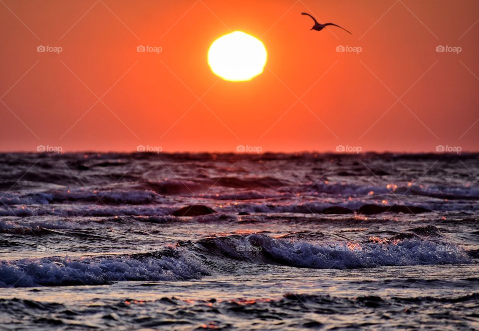 Sunset, Sea, Sun, Dawn, Ocean