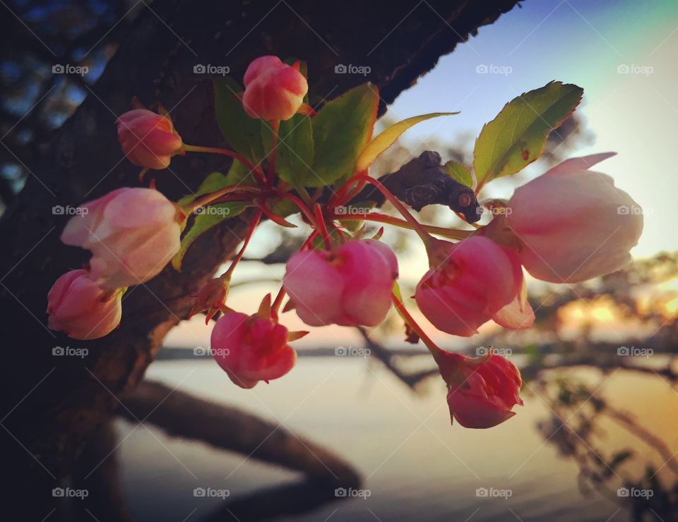 Spring is Finally Here!