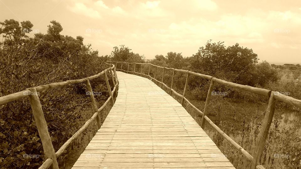 Sepia Bridge