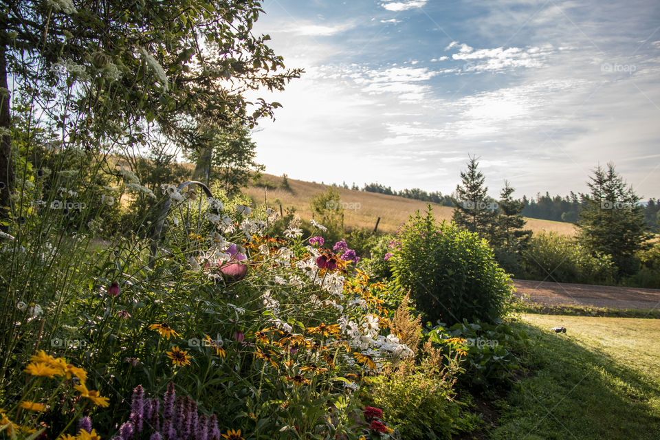 Countryside garden 