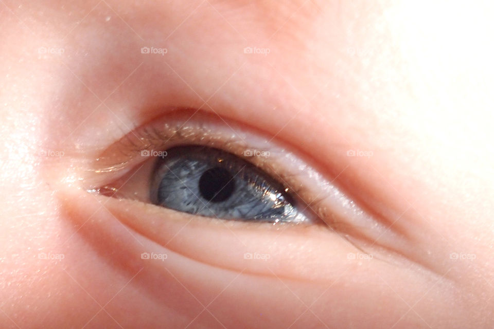Close-up of baby eye