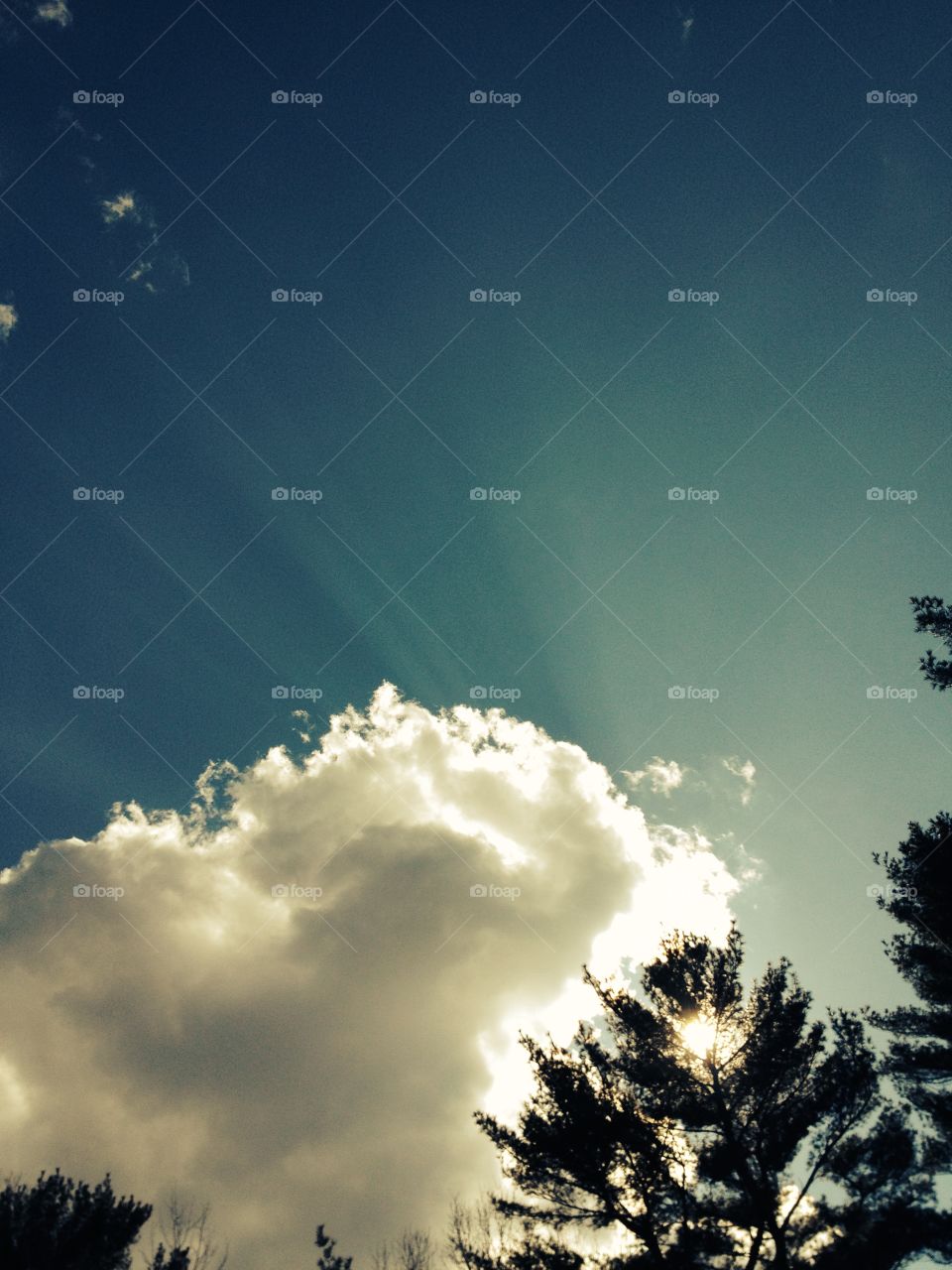 Who doesn't love watching clouds create figures on a windy day!