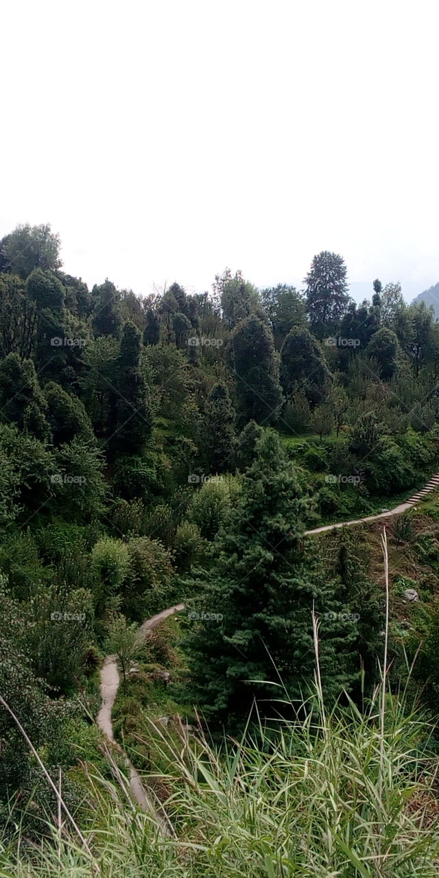 green city manali