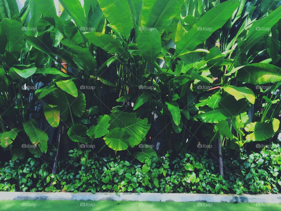 Green wall pattern background