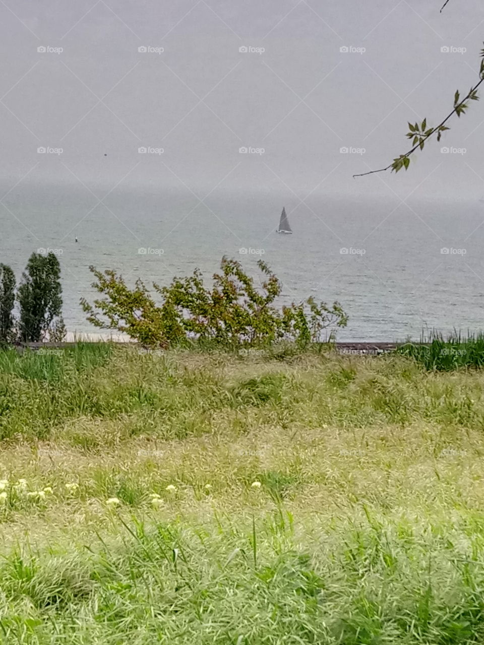 Water, Nature, Landscape, No Person, Grass