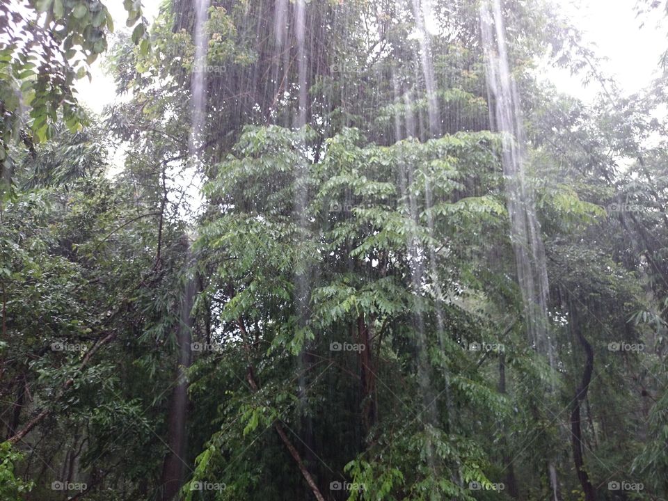 raining day. raining day, alone