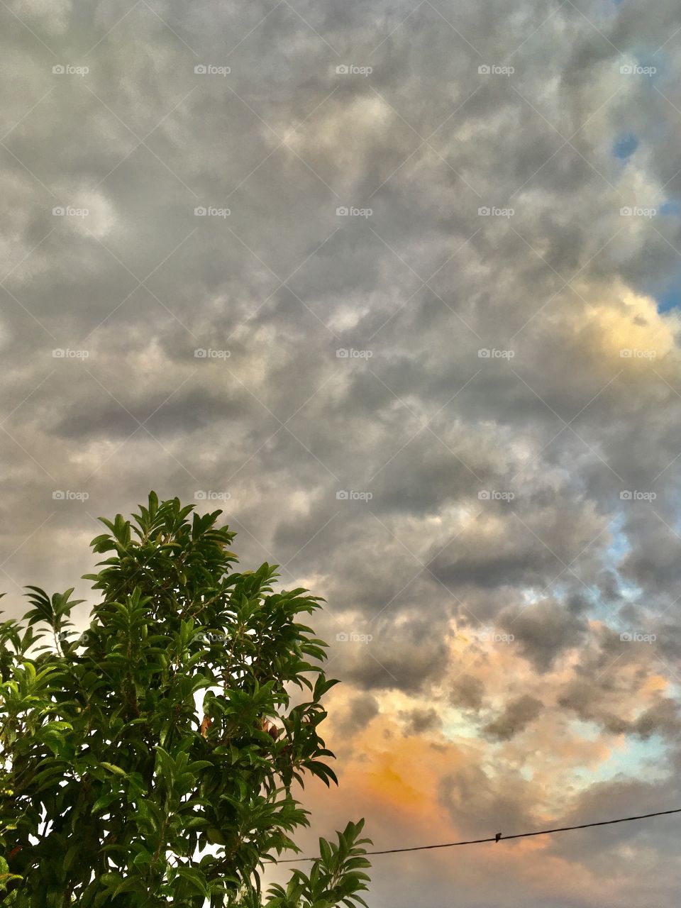 🌄🇺🇸 An extremely beautiful dawn in Jundiaí, interior of Brazil. Cheer the nature! / 🇧🇷 Um amanhecer extremamente bonito em Jundiaí, interior do Brasil. Viva a natureza! 