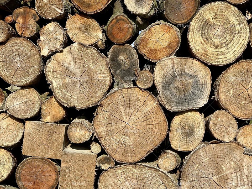 Wooden chucks. Wood logs 