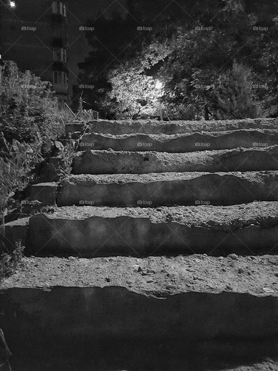 Stairs in the Park
