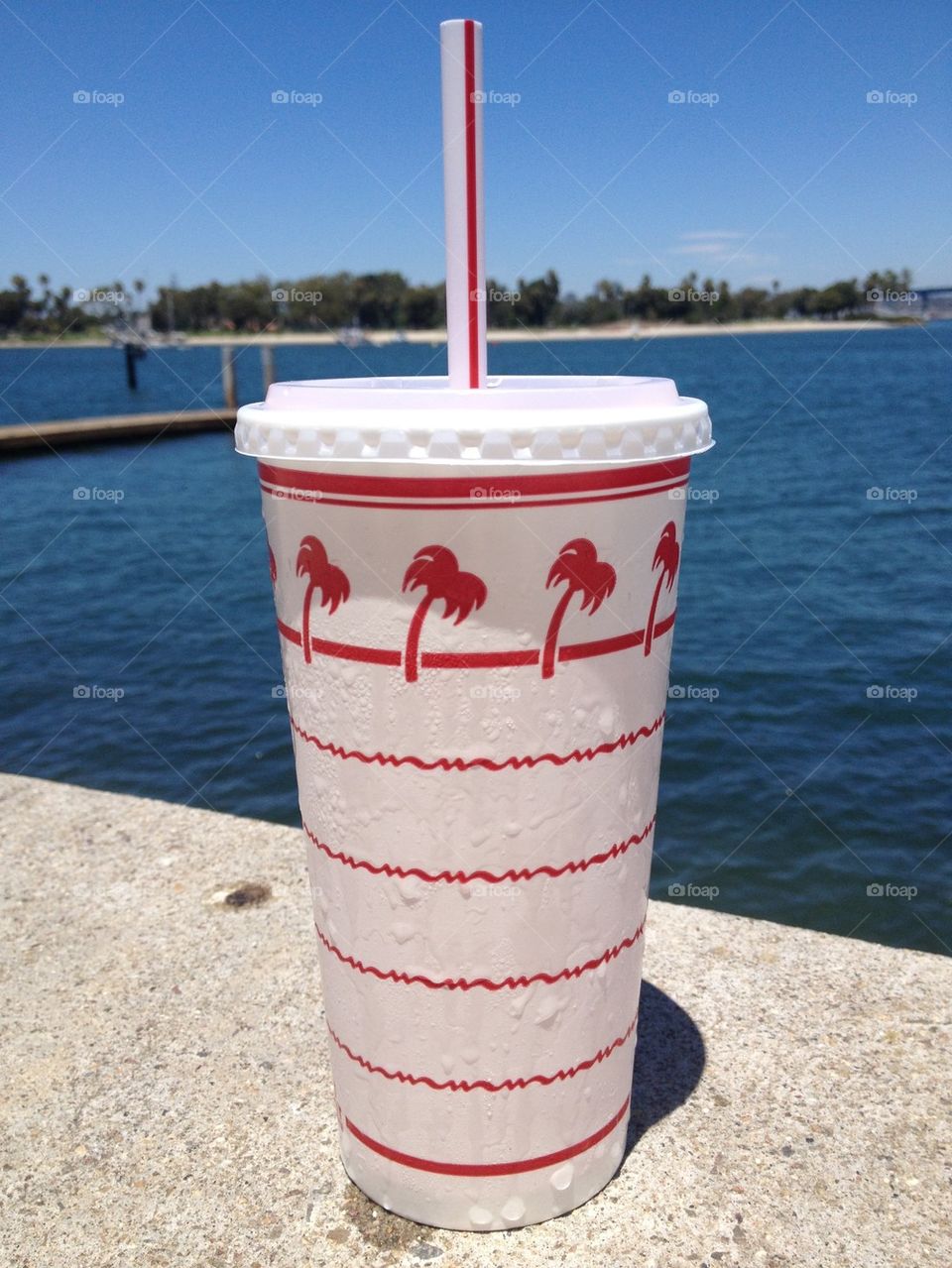In N Out cup enjoying the view 