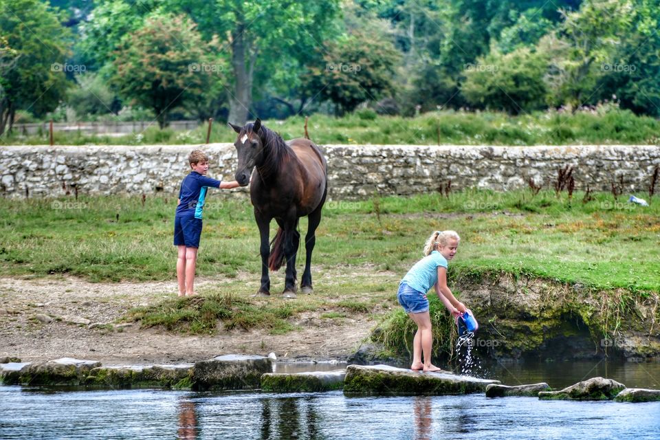 Water, River, Mammal, Recreation, Outdoors