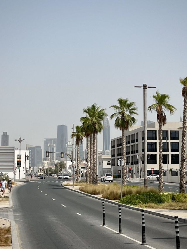 Street of dubai 