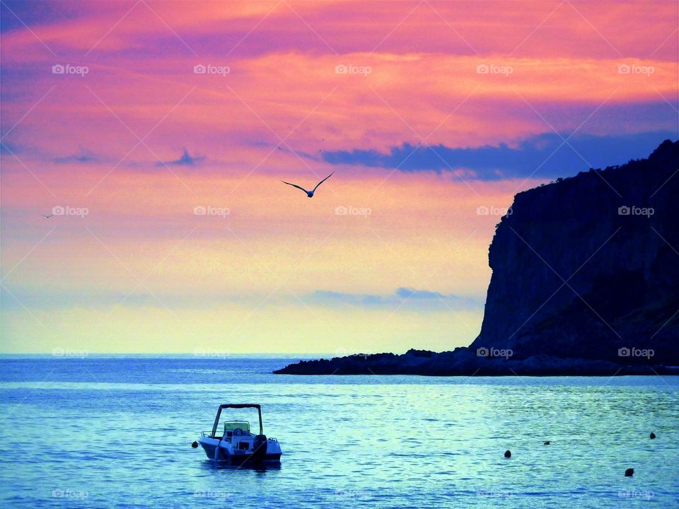 Pink  Sunset with seagull  over Islet of Dino ( Italy ).