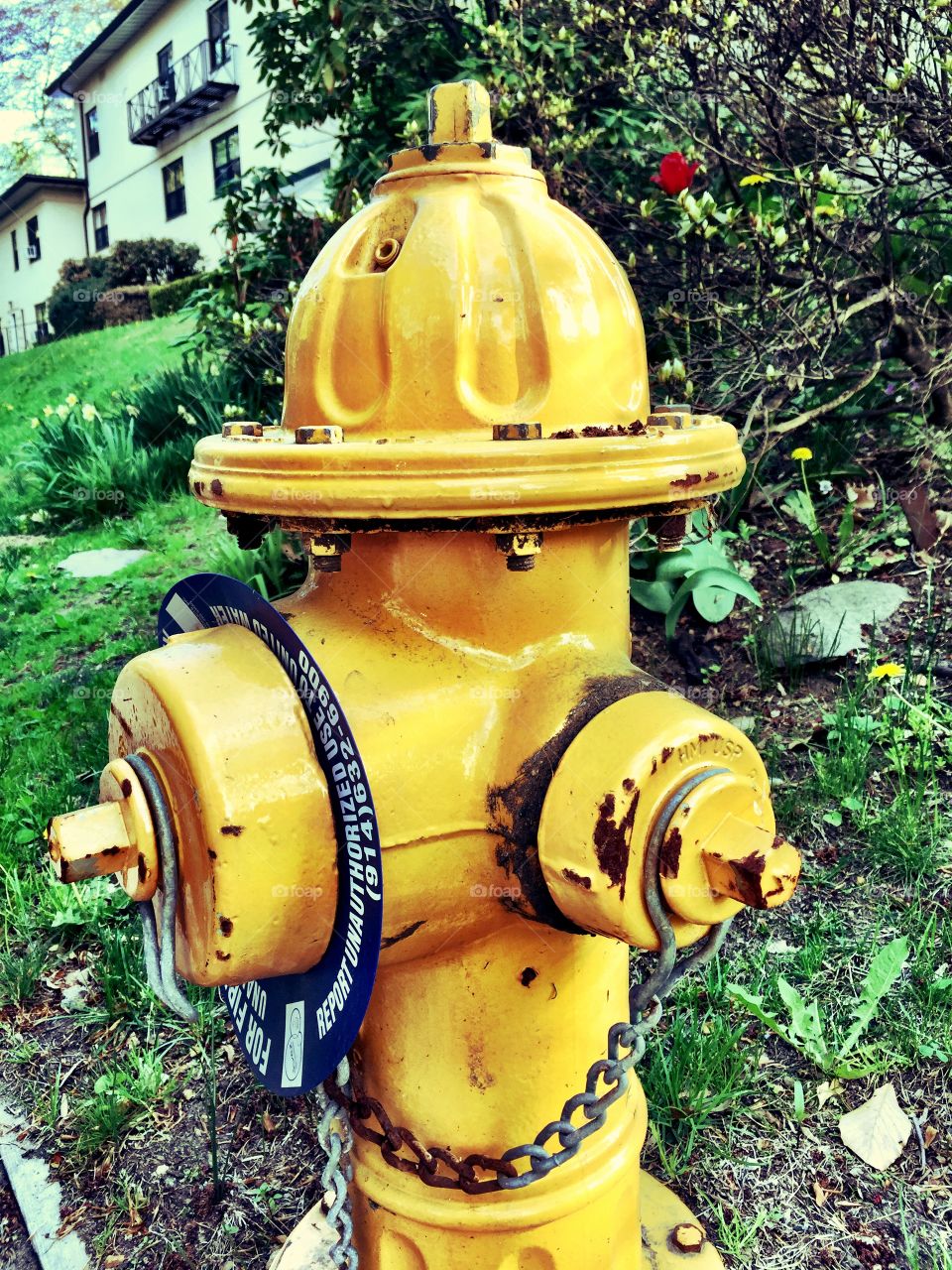 Hydrant 