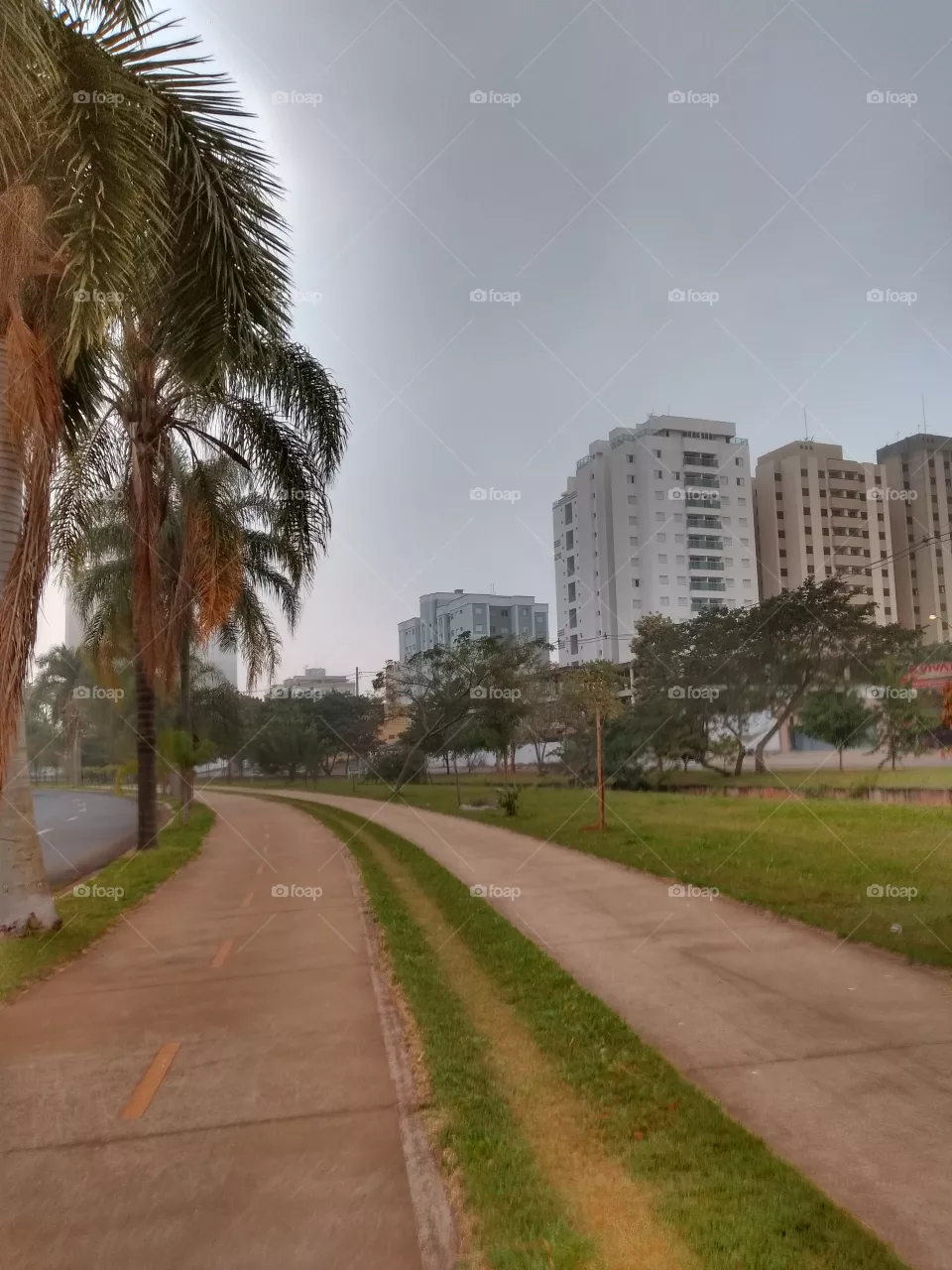 bem vindo foap natureza