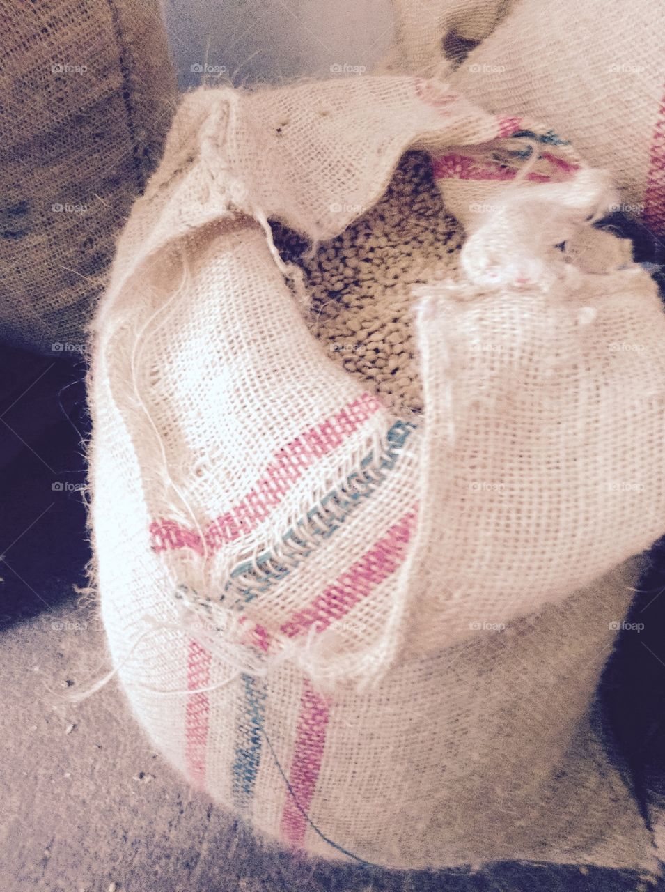Bag with dried coffee  beans from Colombia