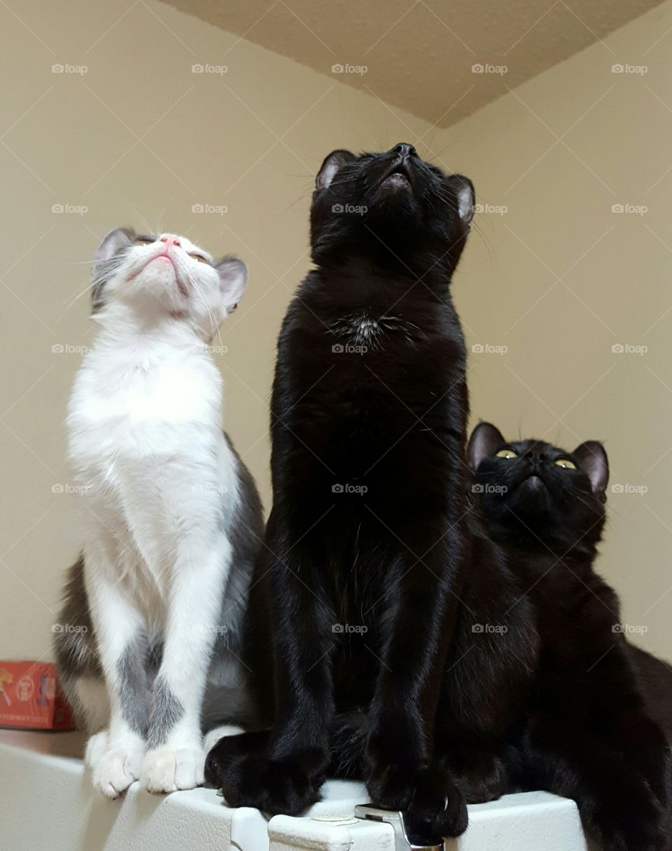 looking at the ceiling