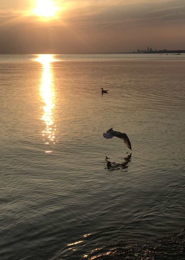 Water 