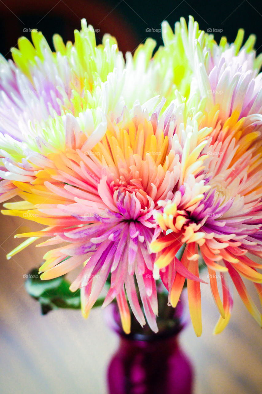 Rainbow Bouquet