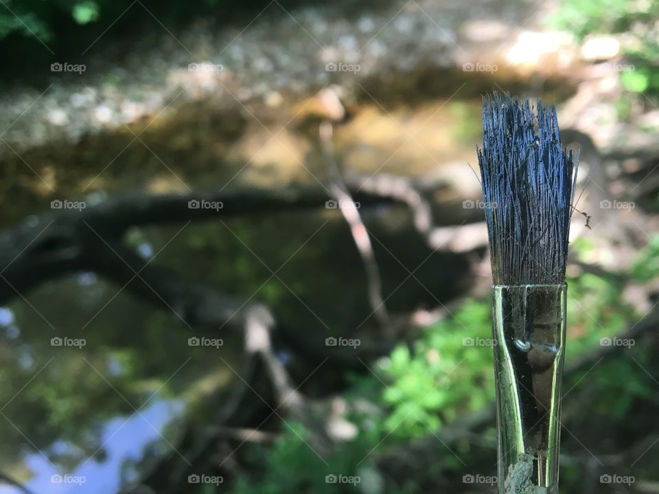 Paintbrush in nature 1